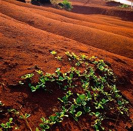 网易《命运》手游版正式公布 11月开启封闭测试
